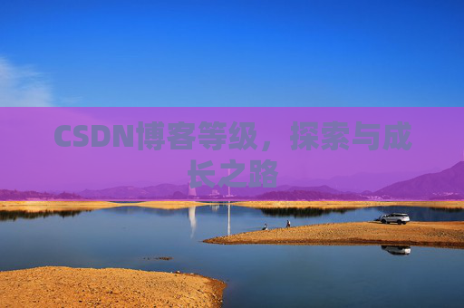 CSDN博客等级，探索与成长之路